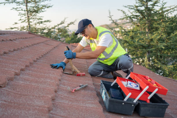 Best Roof Repair Services  in Dublin, OH